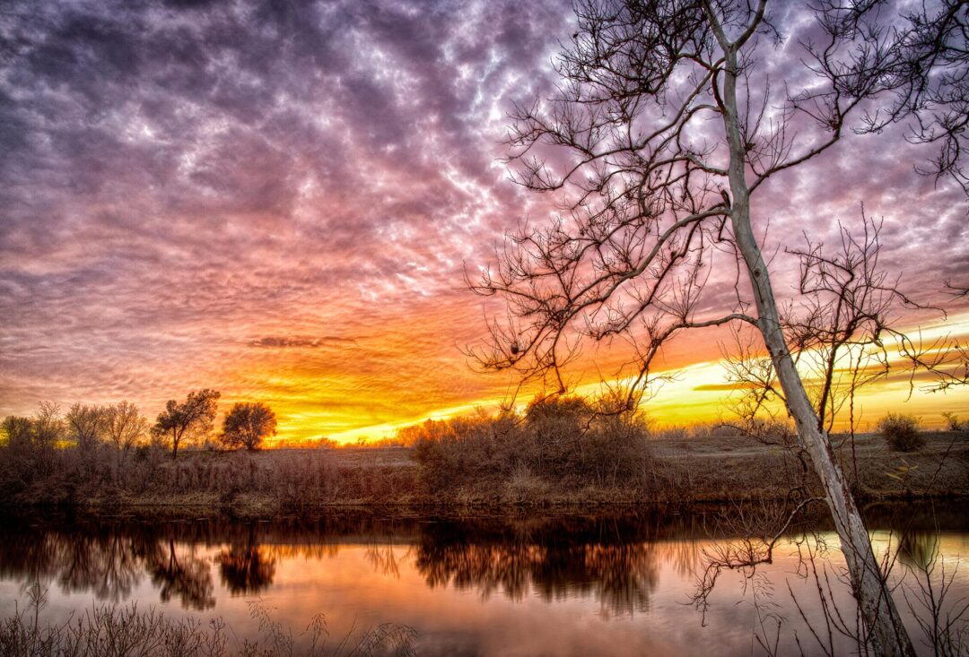 Feather River West Levee